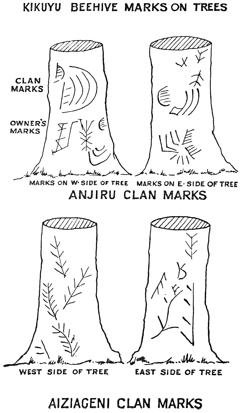 KIKUYU BEEHIVE MARKS ON TREES

CLAN MARKS

OWNER’S MARKS

Marks on W. Side of Tree

Marks on E. Side of Tree

ANJIRU CLAN MARKS

West Side of Tree

East Side of Tree

AIZIAGENI CLAN MARKS