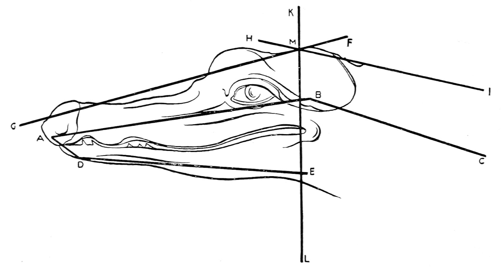 Diagram No. 4