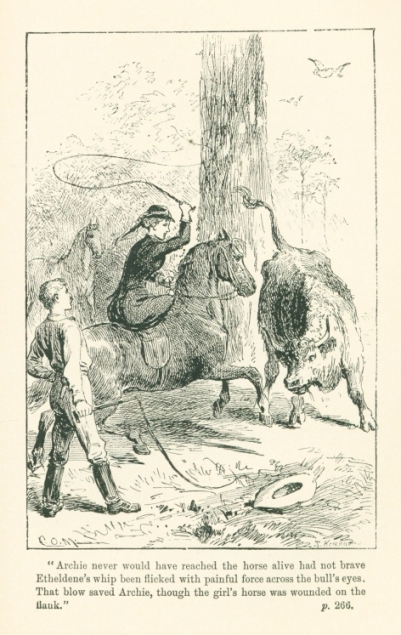 "Archie never would have reached the horse alive had not brave Etheldene's whip been flicked with painful force across the bull's eyes.  That blow saved Archie, though the girl's horse was wounded on the flank."