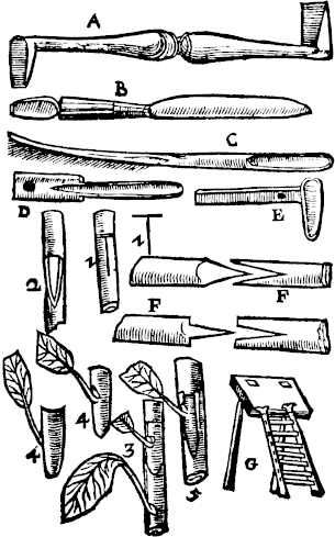 Page 543:Grafting tools and methods.