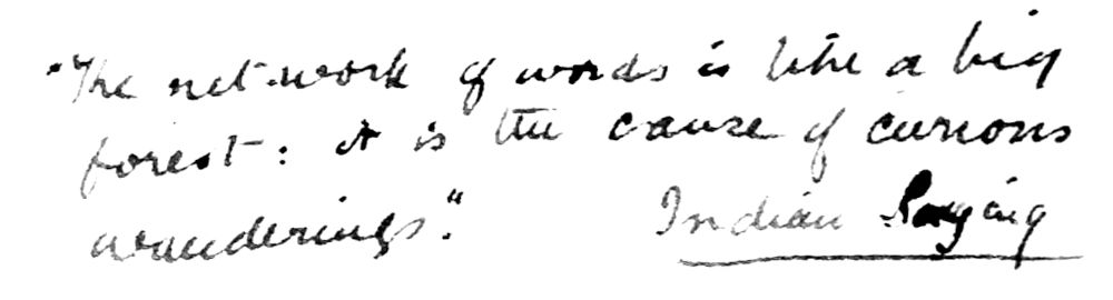 The network of words is like a big forest: it is the
cause of curious wanderings