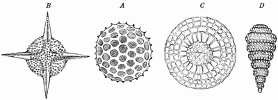 Fig. 46.