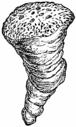 Fig. 93.