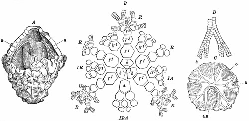 Fig. 280.