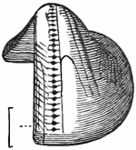 Fig. 754.