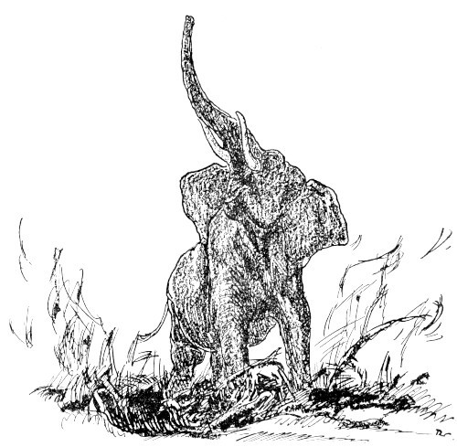 elephant