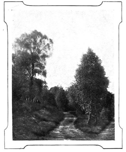 landscape with rustic road