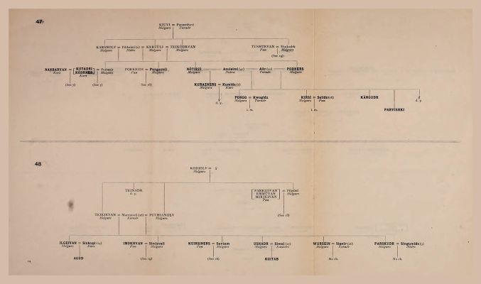 Genealogical Table