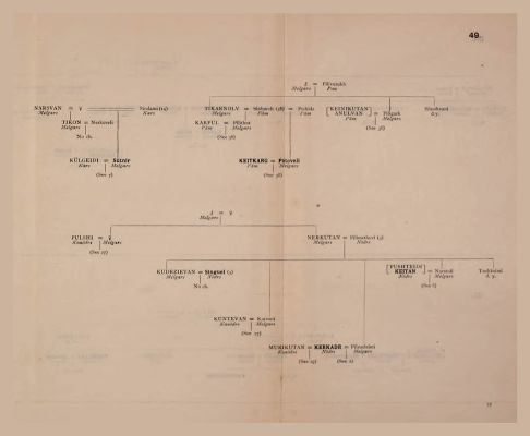 Genealogical Table