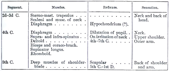 Localization in spine part 1