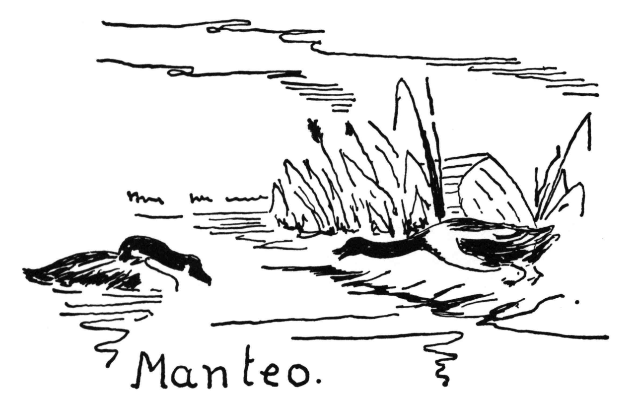 Manteo.