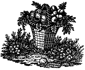 Basket of fruit.