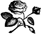 A flower.