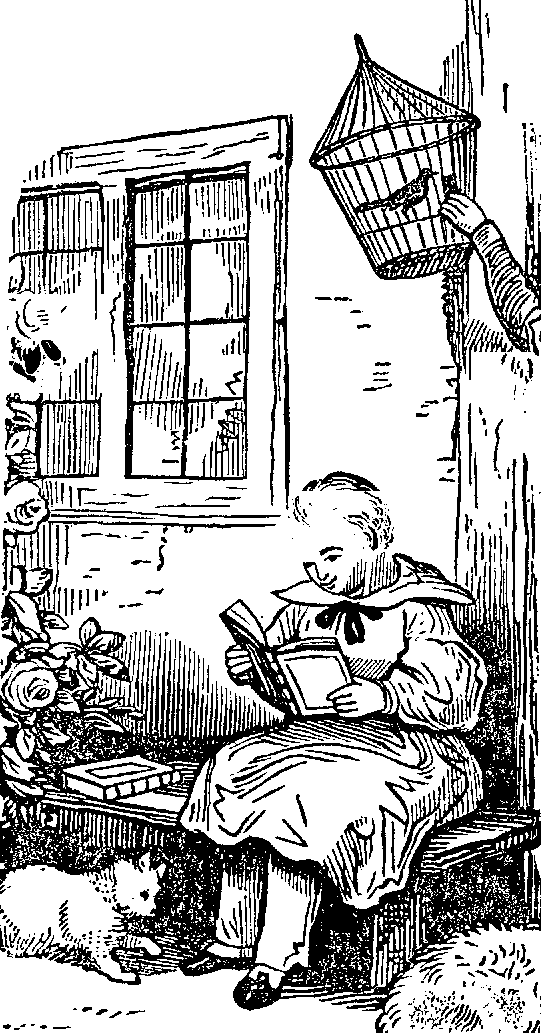 Tony reads a book.