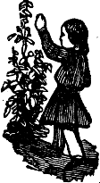 Woman waving.
