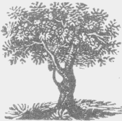 A tree