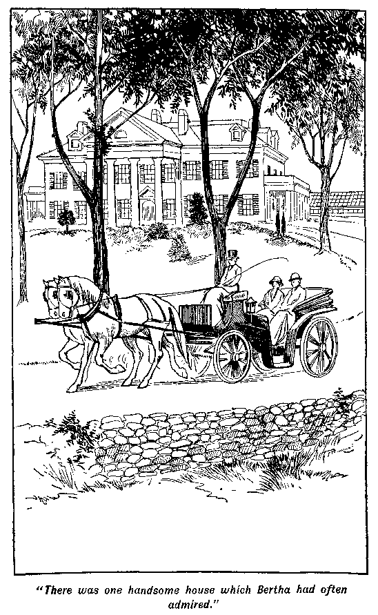[Illustration: "<i>There was one handsome house which Bertha had often
admired.</i>"]