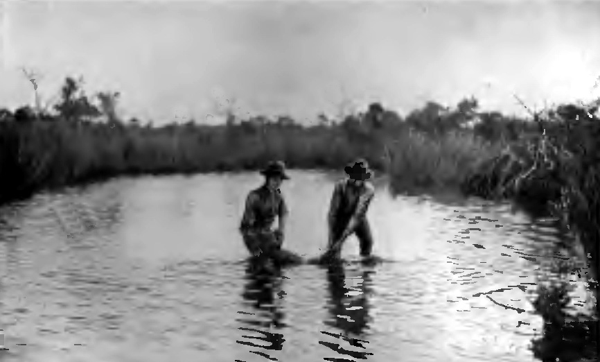 HE HELD THE JAWS OF THE 'GATOR SHUT, WHILE DICK SEIZED THE HIND LEGS OF THE REPTILE
