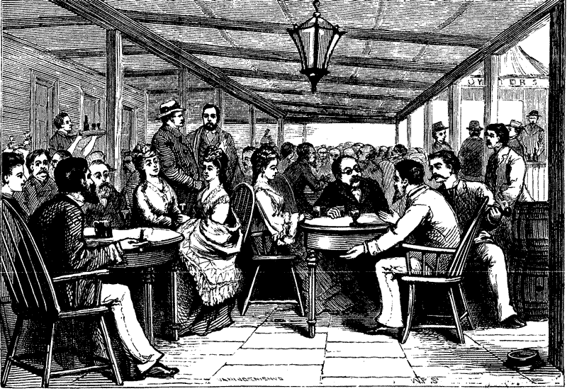 A SCENE IN FRONT OF SCHAUFLER'S HOTEL.
