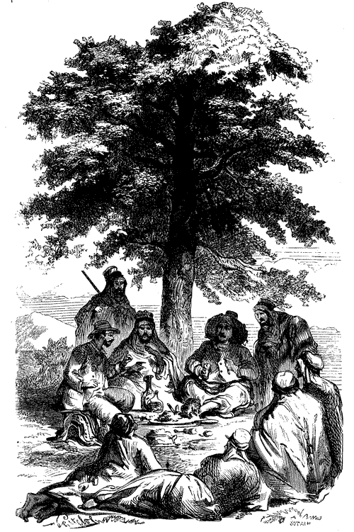 THE DISCIPLES OF TOFAIL.