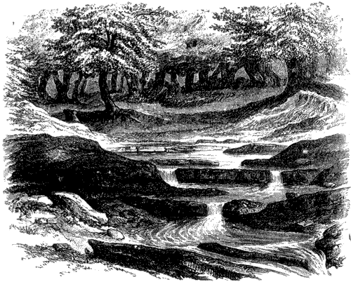 NEAR THE SOURCE OF THE TIBER.