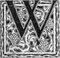 Letter W