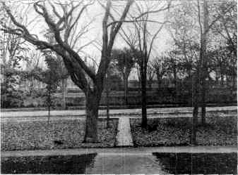 VIEW LOOKING FROM THE FRONT OF ELIZABETH STUART PHELPS'S HOME IN ANDOVER, MASSACHUSETTS.