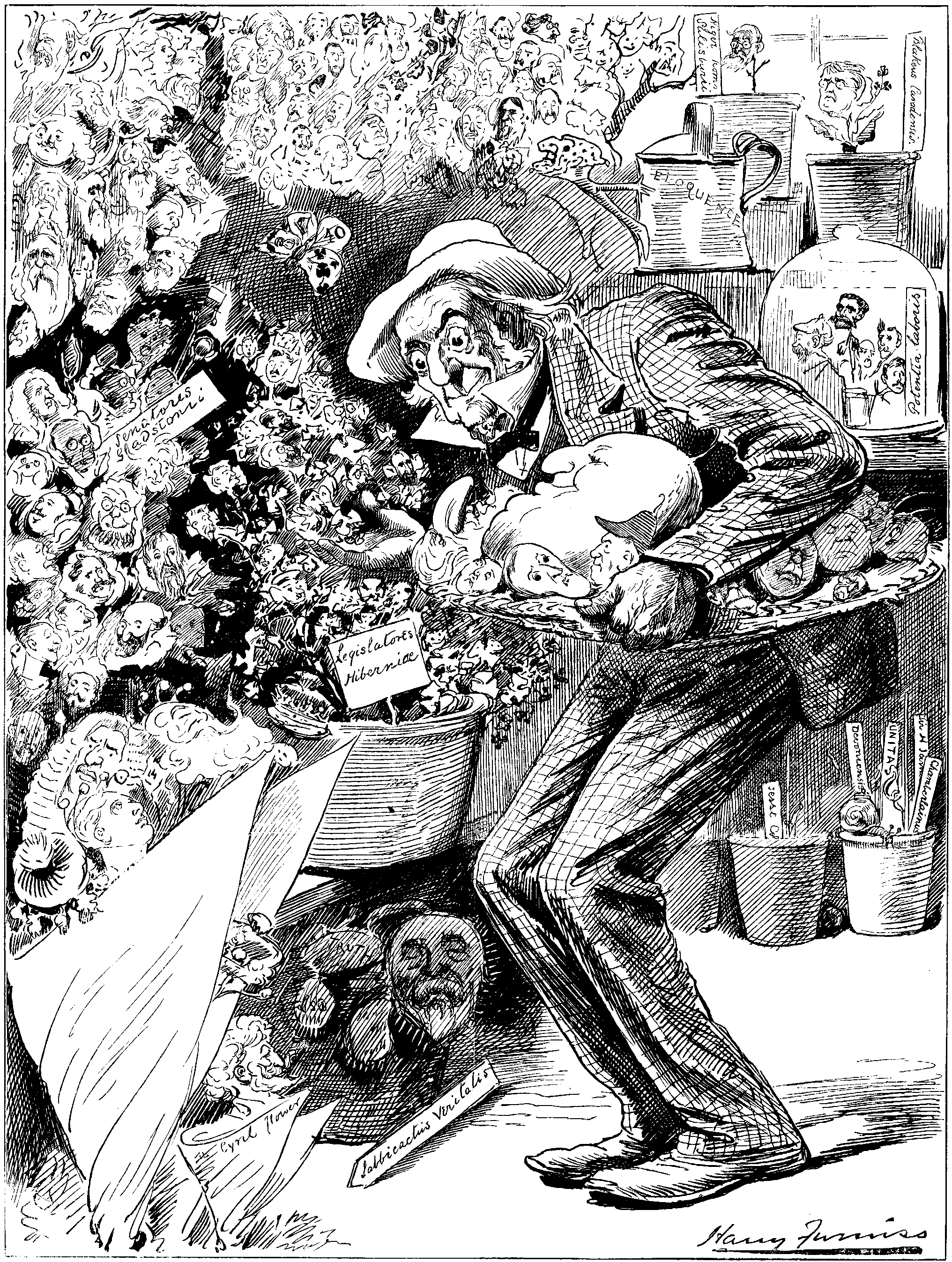 THE GRAND OLD GARDENER.