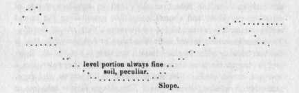 Peculiar slope