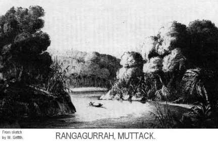 The Himalaya from Rangagurrah