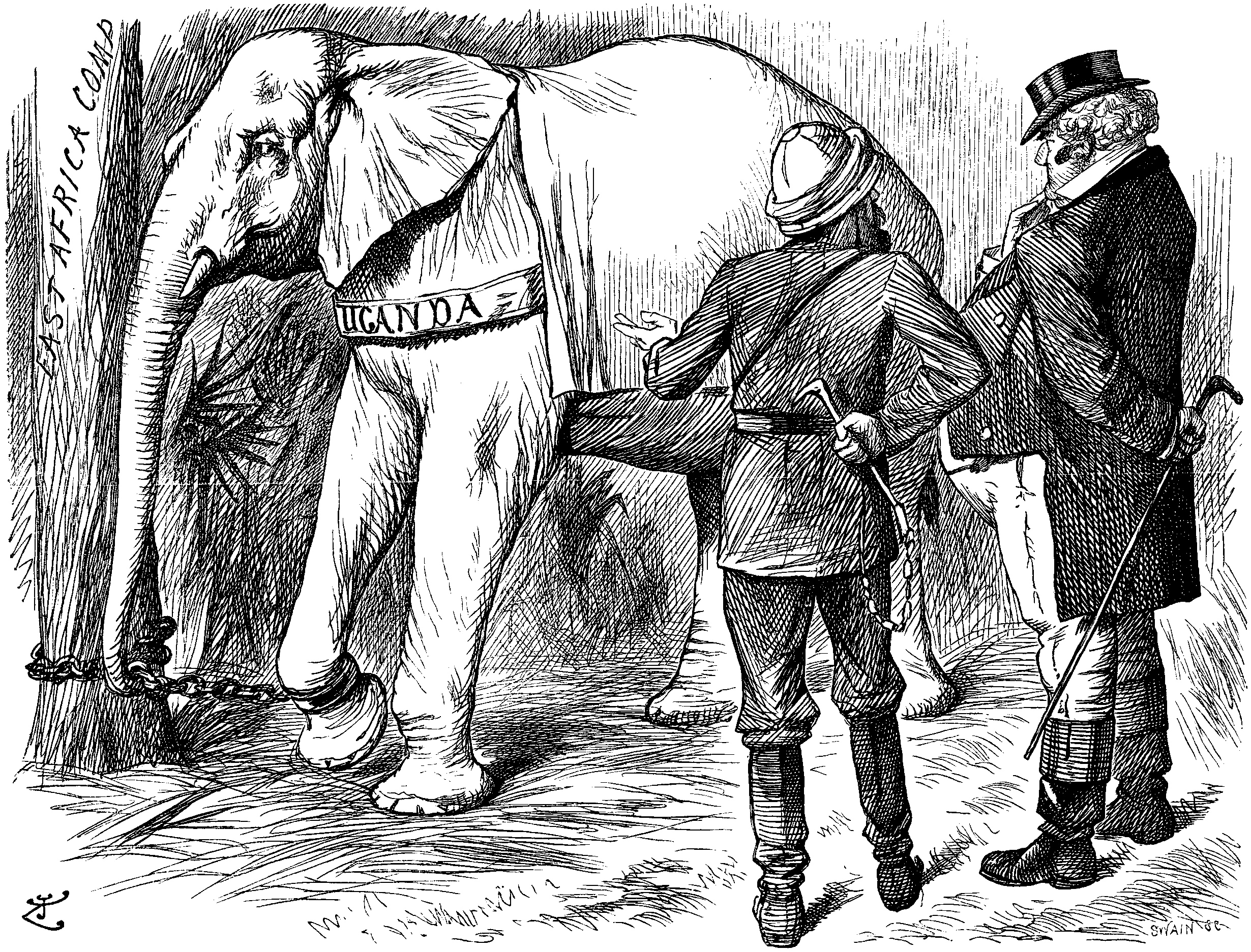 THE WHITE ELEPHANT.