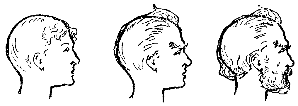 <i>The use of hair in disguising the face is perfectly
