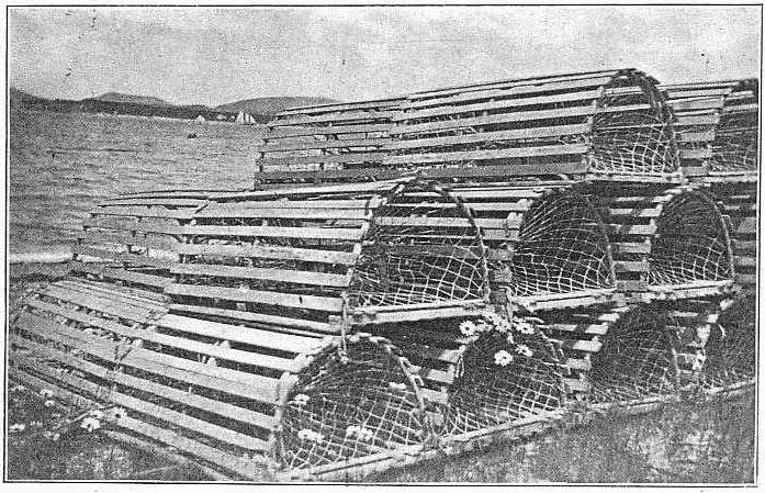 Lobster pots