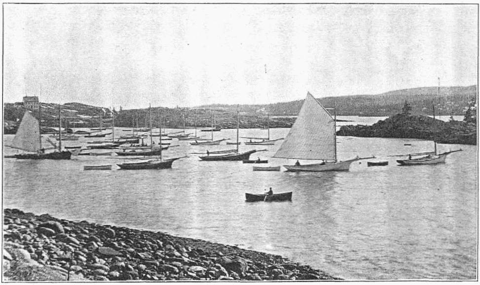 Fleet of lobster boats in harbor at York Island