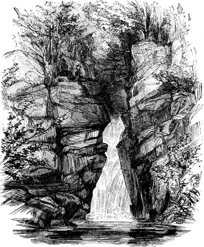 GEORGIANA FALLS.