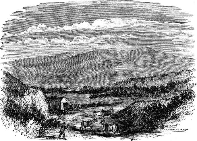 MOUNT MORIAH, IN GORHAM.