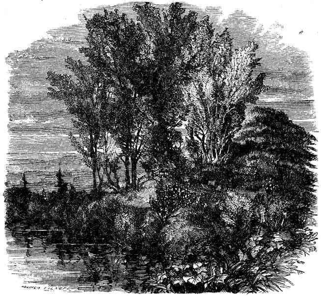 GIANT'S GRAVE, NEAR CRAWFORD HOUSE.