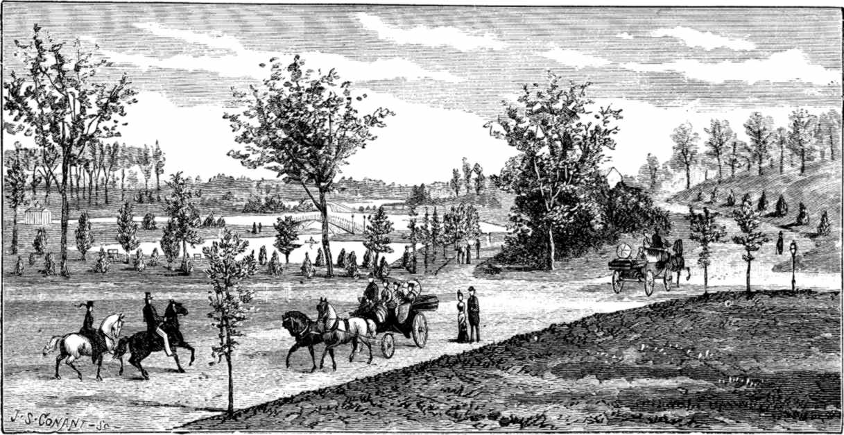 ELM PARK.