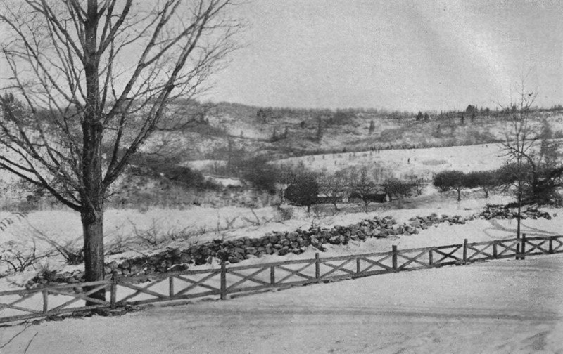 "Happy Hollow" in the Winter