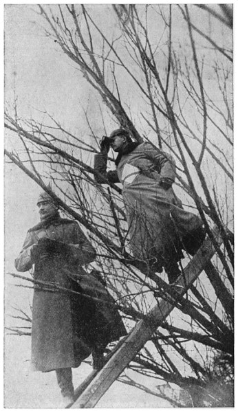Fig. 29