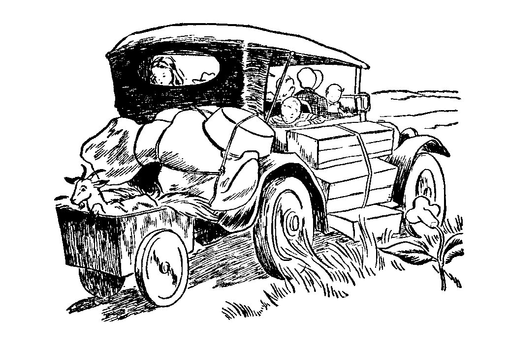 Illustration: Beechams in Reo