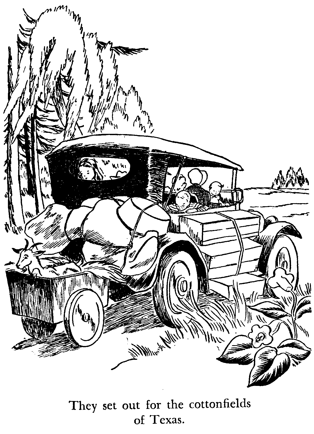 Illustration: Off to the cotton fields