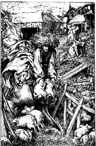 Image17