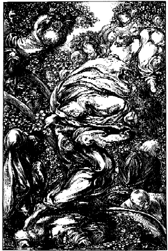 Image pg 53