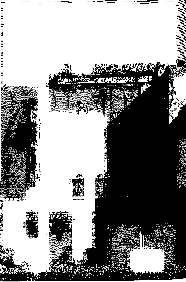 Plate V (lower)