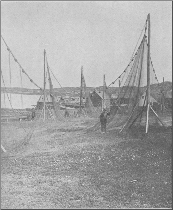 Drying the Seines