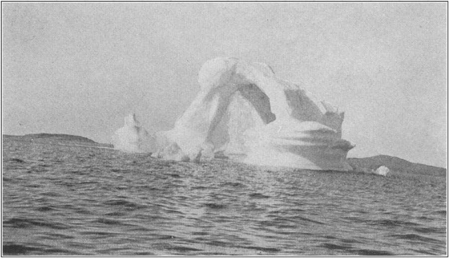 Iceberg 2