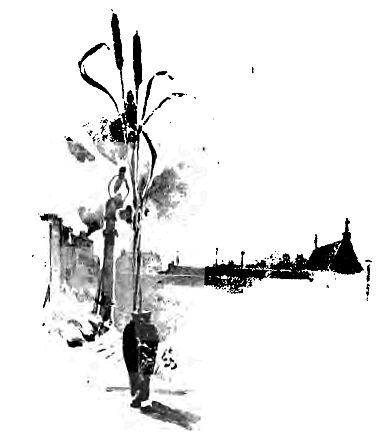 P208-219
