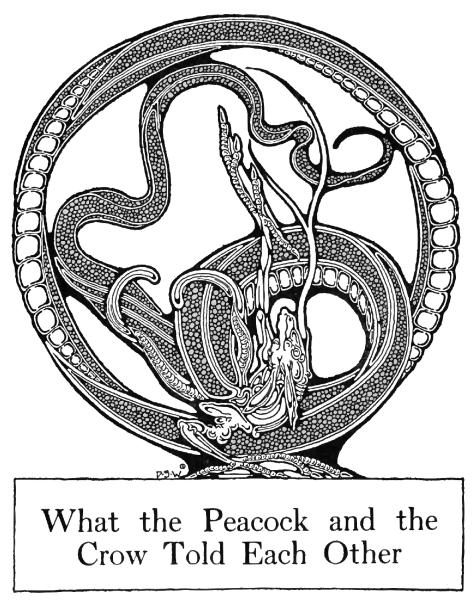 What the Peacock and the
Crow Told Each Other
