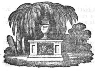 Ilustrao 2